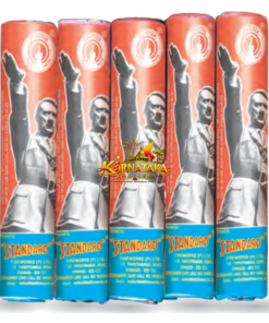 Hitler (10 CM 5 Pcs)